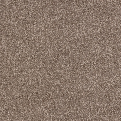Furlong Flooring Trident Luxury Twist Carpet - Ash
