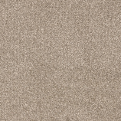 Furlong Flooring Trident Luxury Twist Carpet - Bathstone