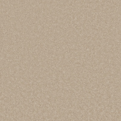 Furlong Flooring Trident Plains Luxury Twist Carpet