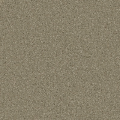 Furlong Flooring Trident Plains Luxury Twist Carpet - Sage Whisper