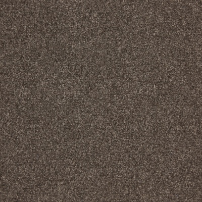 JHS Triumph Cut Pile Carpet Tiles - Bloom