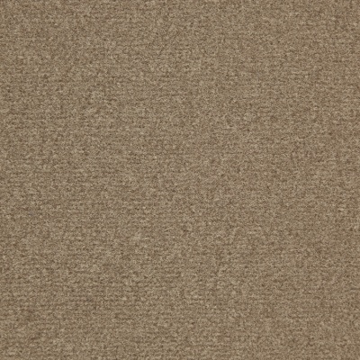 JHS Triumph Cut Pile Carpet Tiles - Willow