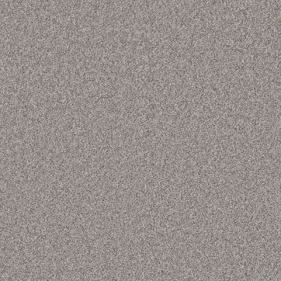 Furlong Flooring Chiltern Twist Carpet - Mercury