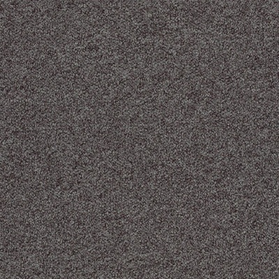 Tessera Chroma Commercial Carpet Tiles - Quinoa