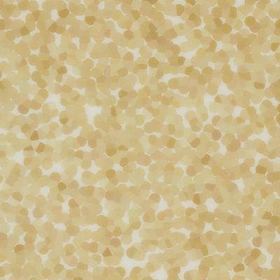 Sarlon Graphic Vinyl - Champagne Halo
