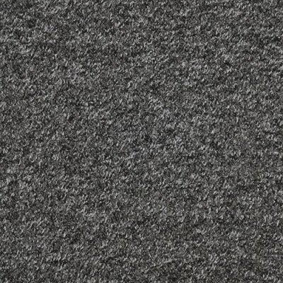 Furlong Flooring Atlas Budget Loop Pile Carpet - Black