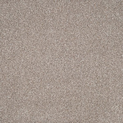 Furlong Flooring Carefree Twist Carpet - Limed Oak
