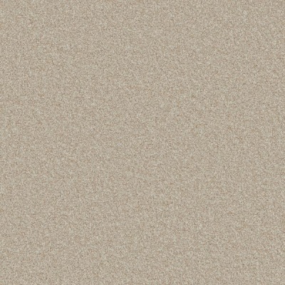 Furlong Flooring Carefree Twist Carpet - Bathstone