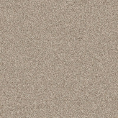 Furlong Flooring Carefree Twist Carpet