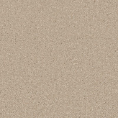 Furlong Flooring Carefree Twist Carpet - Coral Cluster