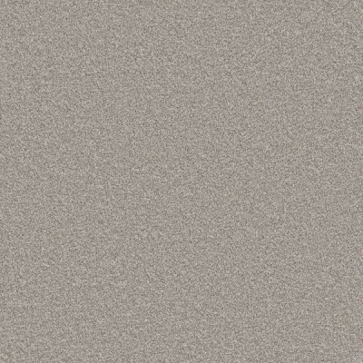 Furlong Flooring Carefree Twist Carpet - Husky