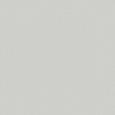 Furlong Flooring Carefree Twist Carpet - Porcelain