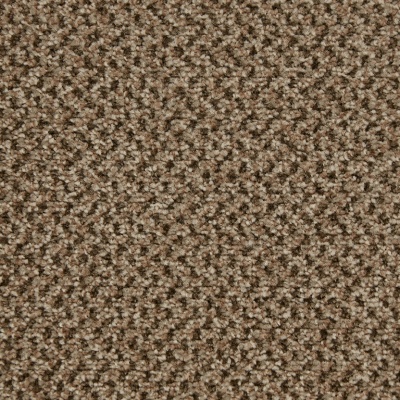 JHS Hospi Elegance Commercial Carpet - Fawn 90