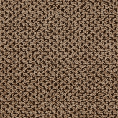 JHS Hospi Elegance Commercial Carpet - Nutmeg 92
