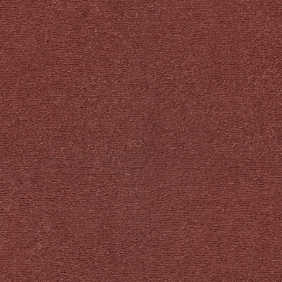 SmartStrand Celeste - Forever Clean Carpet - Coral 1