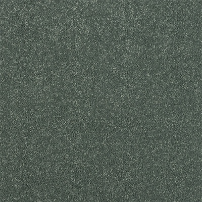 Abingdon Flooring Stainfree Maximus Bleach Cleanable Luxury Carpet