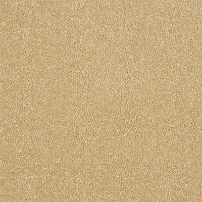 Abingdon Flooring Stainfree Maximus Bleach Cleanable Luxury Carpet - Honey Gold