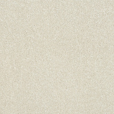 Abingdon Flooring Stainfree Maximus Bleach Cleanable Luxury Carpet - Stone White