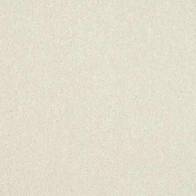 Abingdon Flooring Stainfree Maximus Bleach Cleanable Luxury Carpet - Pearl