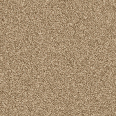 Cormar Carpets Apollo Plus Bleach Cleanable Carpet - Stepping Stone