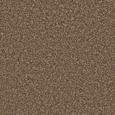 Cormar Carpets Apollo Plus Bleach Cleanable Carpet - Mahogany