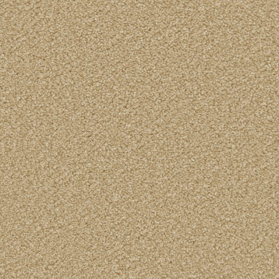 Cormar Carpets Apollo Plus Bleach Cleanable Carpet - Caramel