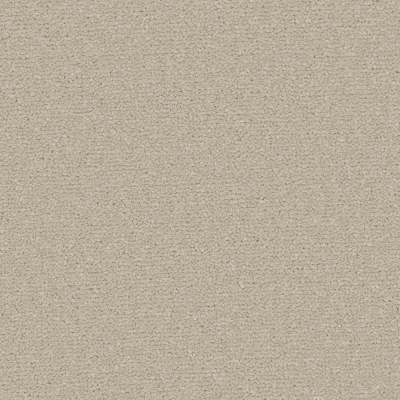 Cormar Carpets Apollo Plus Bleach Cleanable Carpet - Pebblestone