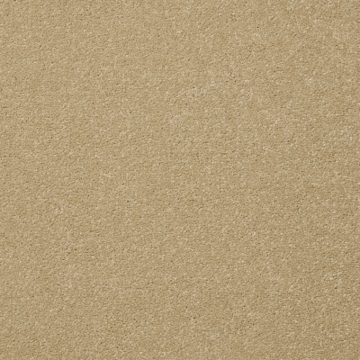 Cormar Carpets Primo Plus Bleach Cleanable Carpet - Putty