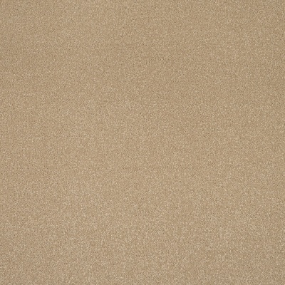 Cormar Carpets Primo Plus Bleach Cleanable Carpet - Muscovado