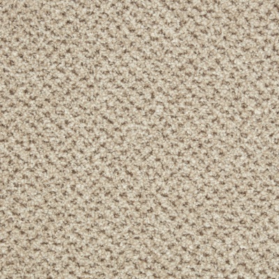 Cormar Carpets Primo Tweeds Bleach Cleanable Carpet