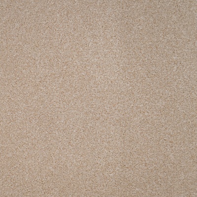 Furlong Flooring Revelation Deep Pile Carpet - Apprise