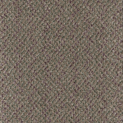 Furlong Flooring Trident Tweed Carpet - Shieling