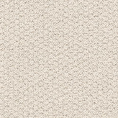 Furlong Flooring Marlow Luxury Loop Carpet - Ammonite