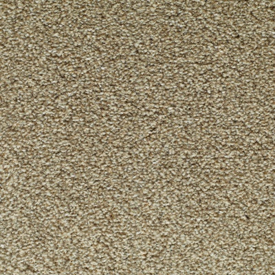 Lifestyle Floors Canterbury Luxury Deep Pile Carpet - Sticky Toffee