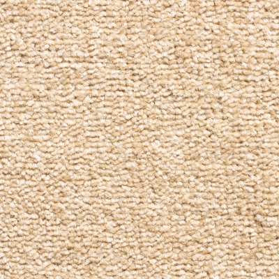 Lifestyle Floors Chapter Bleach Cleanable Twist Pile Carpet - Restful