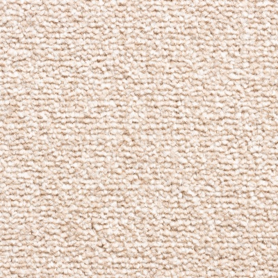 Lifestyle Floors Chapter Bleach Cleanable Twist Pile Carpet - Peaceful