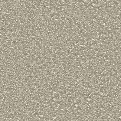 Associated Weavers Centurion Bleach Cleanable Luxury Carpet