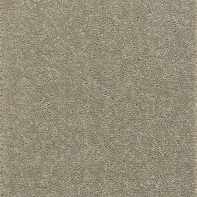 Kingsmead Tranquillity Silver Bleach Cleanable Carpet - Ashen Tan