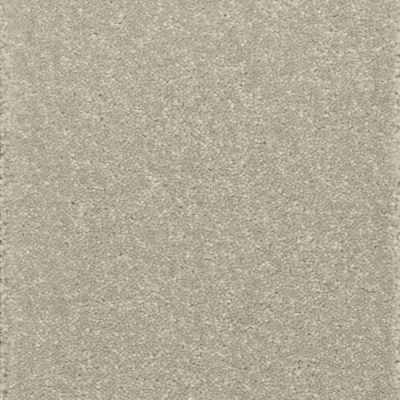 Kingsmead Tranquillity Silver Bleach Cleanable Carpet - Decor