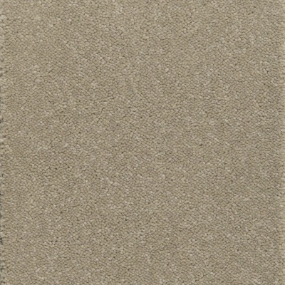 Kingsmead Tranquillity Silver Bleach Cleanable Carpet - Moleskin