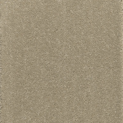 Kingsmead Tranquillity Silver Bleach Cleanable Carpet - Nude