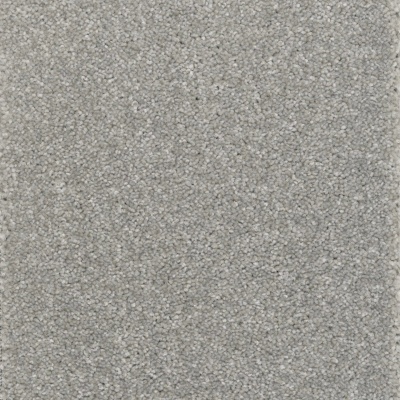 Kingsmead Tranquillity Silver Bleach Cleanable Carpet - Shadow