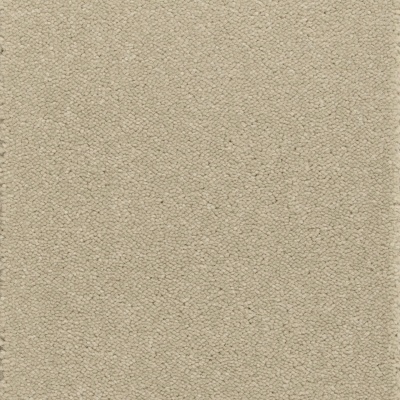 Kingsmead Tranquillity Silver Bleach Cleanable Carpet - Warm Almond