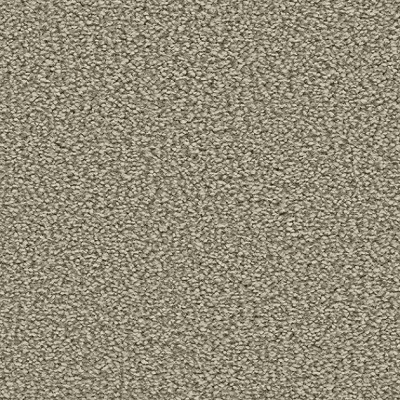 Associated Weavers Brooklyn Bleach Cleanable Carpet - Putty