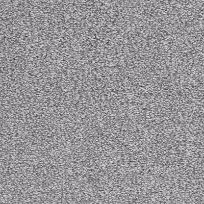 Associated Weavers Hudson 50oz Bleach Cleanable Carpet