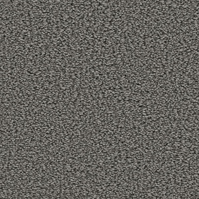 Associated Weavers Hudson 50oz Bleach Cleanable Carpet