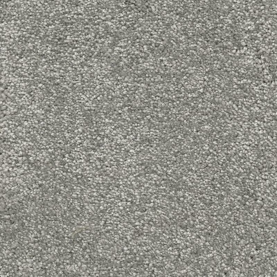 Associated Weavers Promenade Bleach Cleanable Carpet
