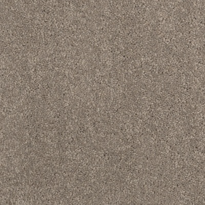 Lifestyle Floors Daintree Carpet - Bonnie Doon