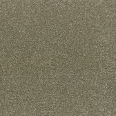 Lifestyle Floors Cosmic Bleach Cleanable Twist Pile Carpet - Hercules