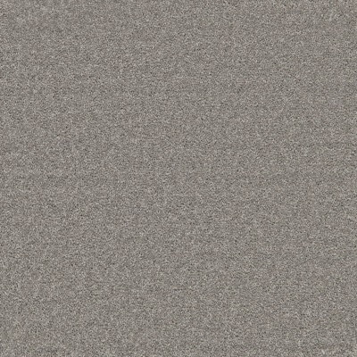 EcoSense Enchantment Luxe Carpet - Greylink